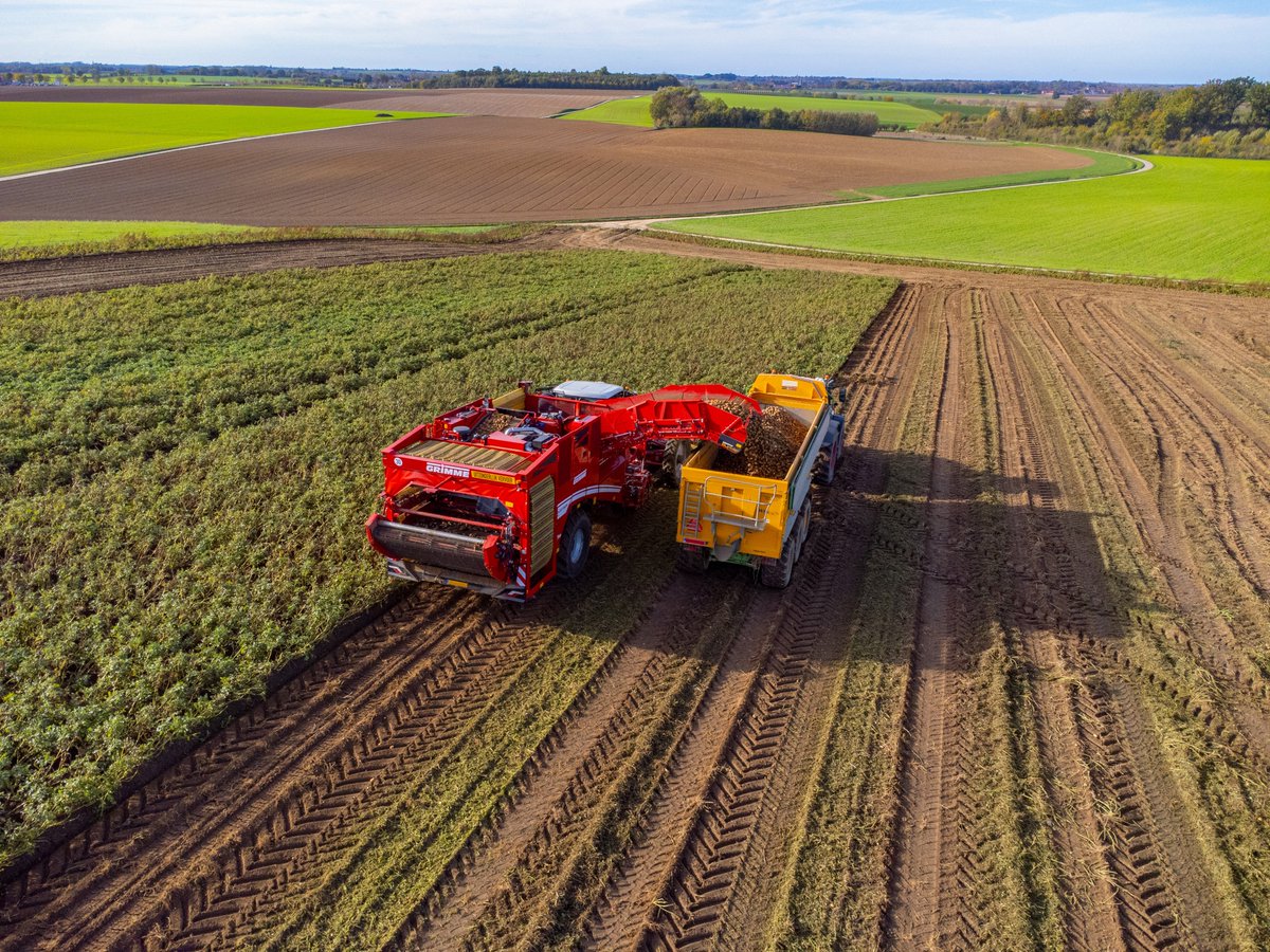 GRIMMEGroup's tweet photo. #PotatoMonday
It's the time of the year! 🥔
Harvest season is in full swing! Here we see the impressive VARITRON 470 harvesting potatoes in Belgium.🤎
#GRIMMEGroup #potatomonday #potatoes #varitron470 #fieldair #bigmaschines #newsaison #throwback #grimmemaschine #potatoharvest https://t.co/PSnBl4qGba