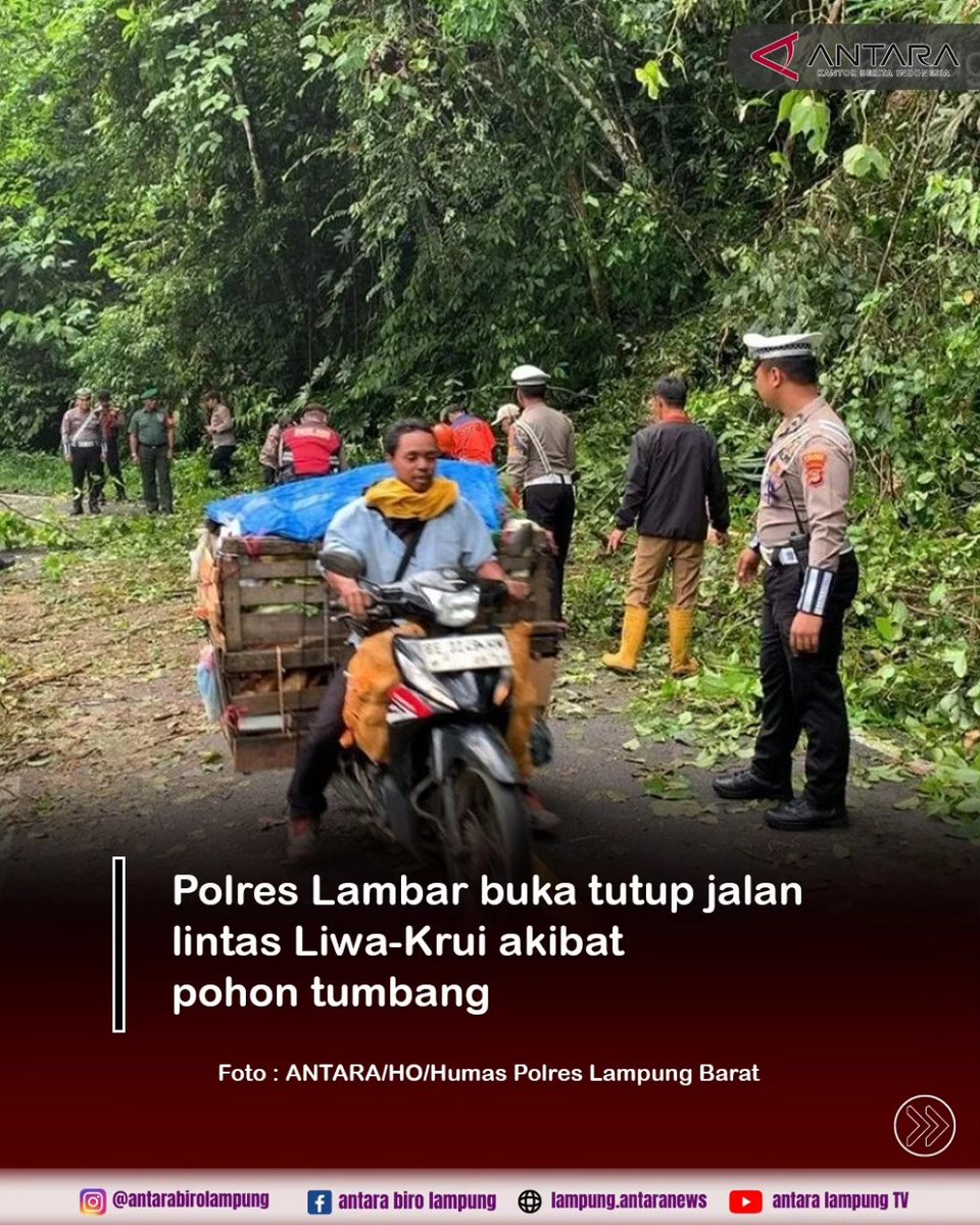 Personel Kepolisian Resor Lampung Barat (Polres Lambar) memberlakukan sistem buka tutup jalan di lokasi pohon tumbang di KM 17 Jalan Lintas Liwa-Krui, Kubu Perahu, Kecamatan Balik Bukit, Kabupaten Lampung Barat.

lampung.antaranews.com/berita/737155/…