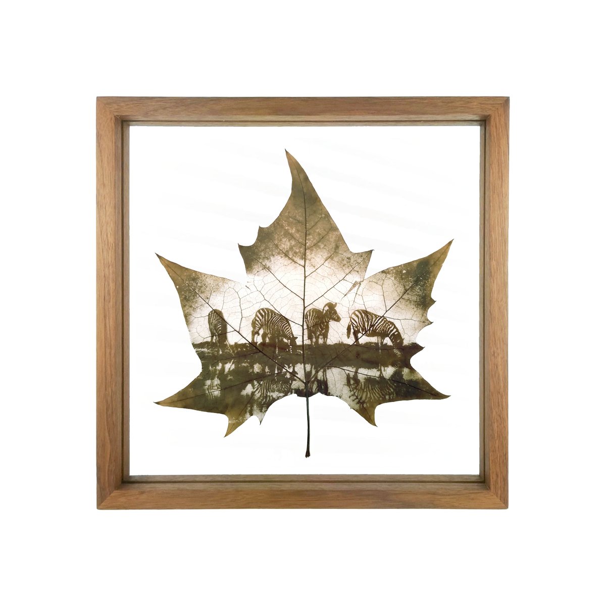 Flora_Whisper's tweet photo. Witness the tranquil moment of zebras in the wild with our exquisite Leaf Carving Art. 🦓🌿  🏡💚

#ZebraLeafArt #NatureArt #WildlifeDecor #HomeDecor #LeafArt #Handcrafted #NatureInspired #UniqueGifts #InteriorDesign #ArtistryOfNature #DecorInspo https://t.co/lLrGMcmW6b
