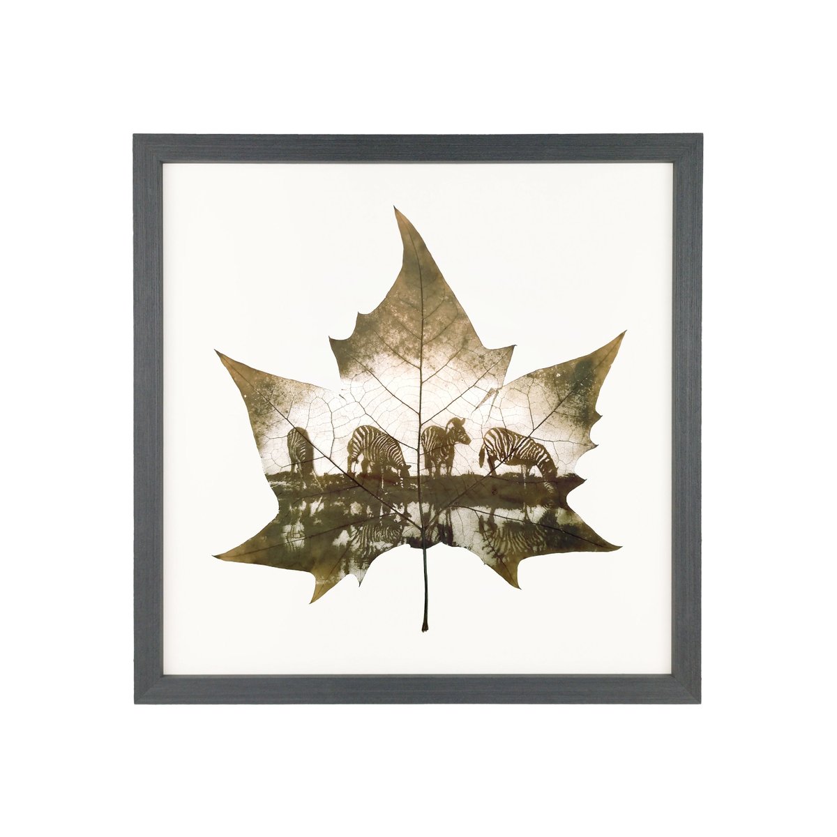 Flora_Whisper's tweet photo. Witness the tranquil moment of zebras in the wild with our exquisite Leaf Carving Art. 🦓🌿  🏡💚

#ZebraLeafArt #NatureArt #WildlifeDecor #HomeDecor #LeafArt #Handcrafted #NatureInspired #UniqueGifts #InteriorDesign #ArtistryOfNature #DecorInspo https://t.co/lLrGMcmW6b