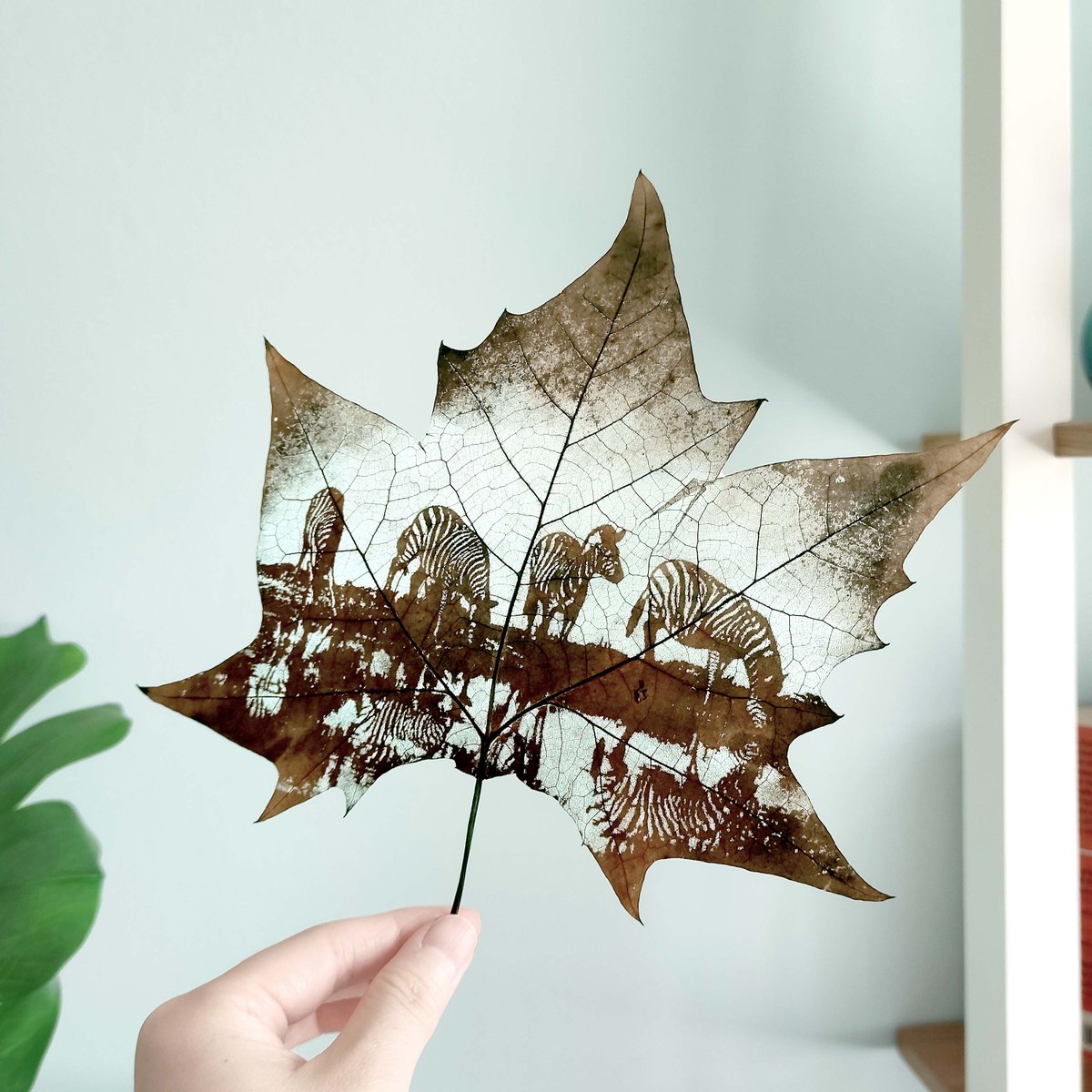 Flora_Whisper's tweet photo. Witness the tranquil moment of zebras in the wild with our exquisite Leaf Carving Art. 🦓🌿  🏡💚

#ZebraLeafArt #NatureArt #WildlifeDecor #HomeDecor #LeafArt #Handcrafted #NatureInspired #UniqueGifts #InteriorDesign #ArtistryOfNature #DecorInspo https://t.co/lLrGMcmW6b