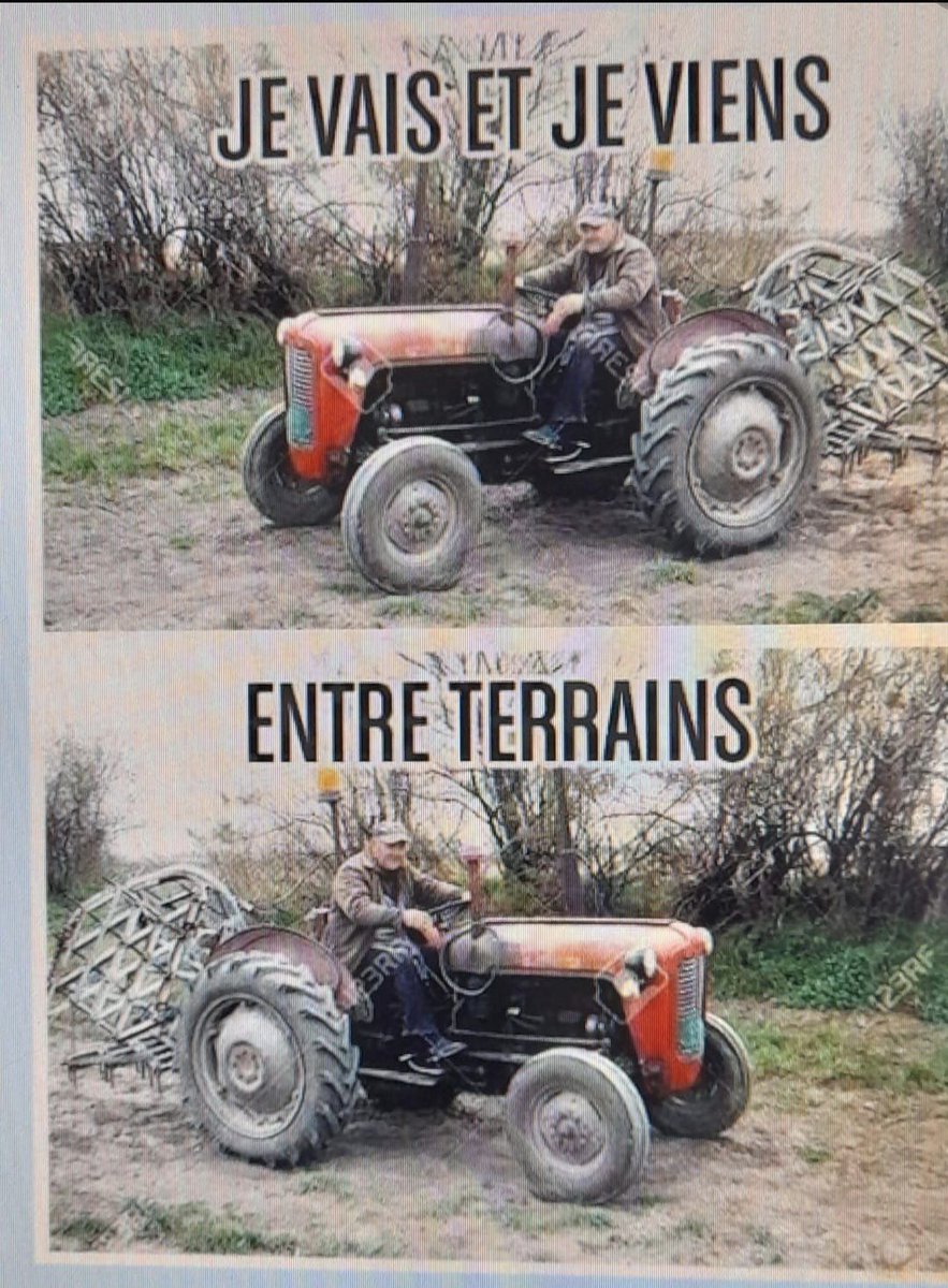 PacaryMagali1's tweet photo. "Moi je n'ai peur de personne en Gainsbarre-Fergusson" Emmanuel Finot! 🤣🤣🤣🤣🤣🤣🤣 https://t.co/OL8c1uig6I