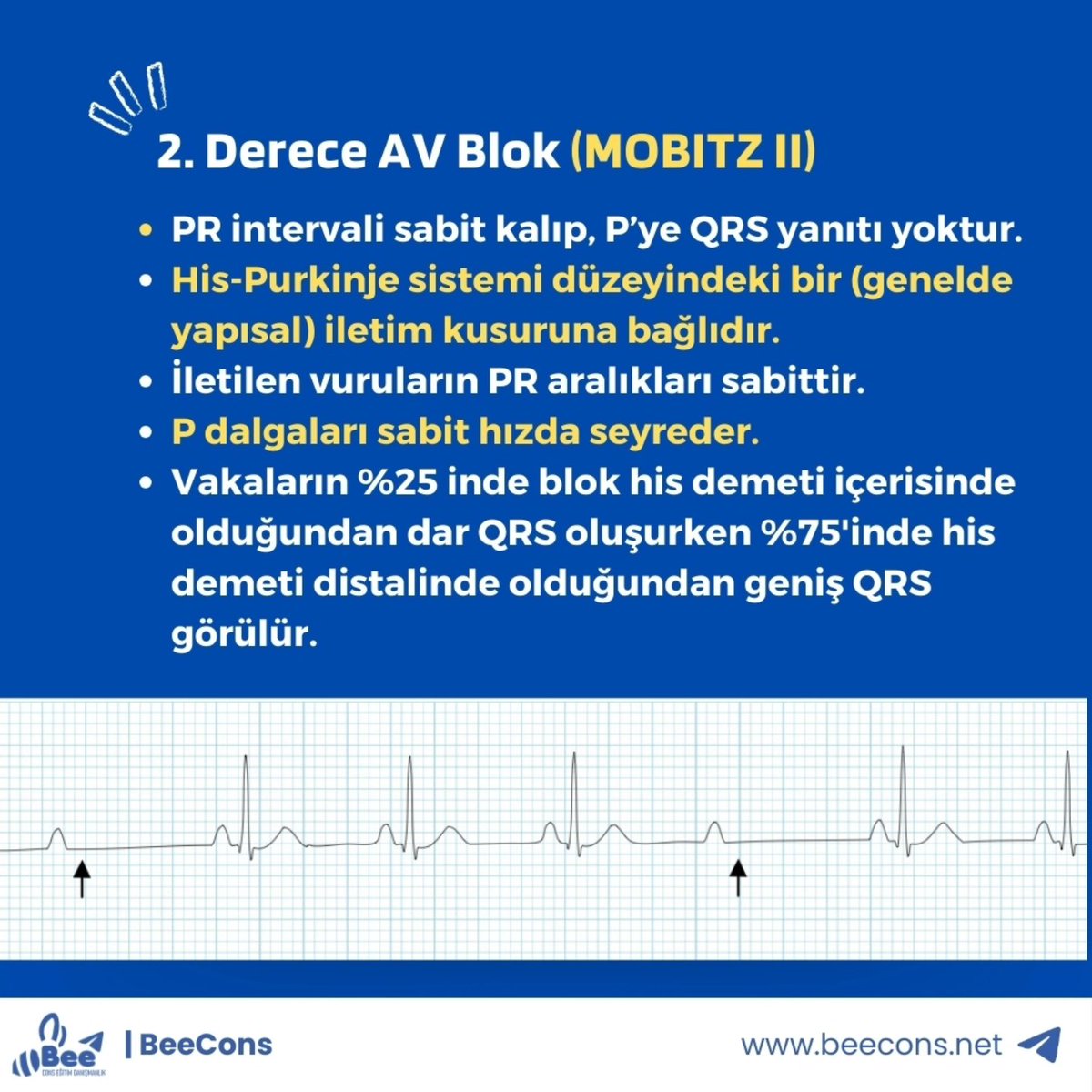 İntern Hekim İletişim Platformu tweet media