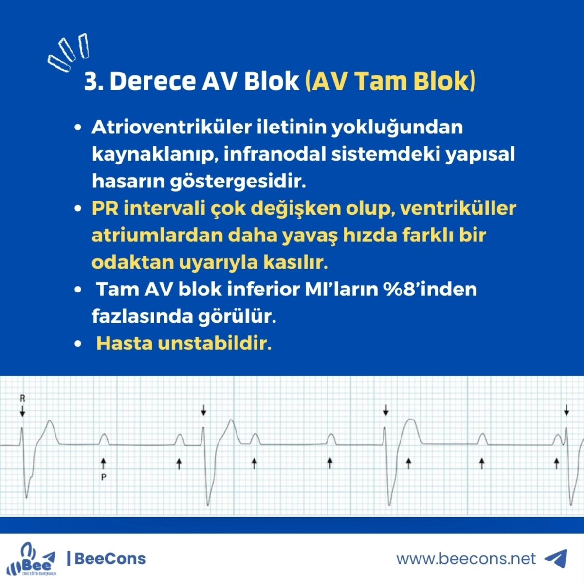 İntern Hekim İletişim Platformu tweet media
