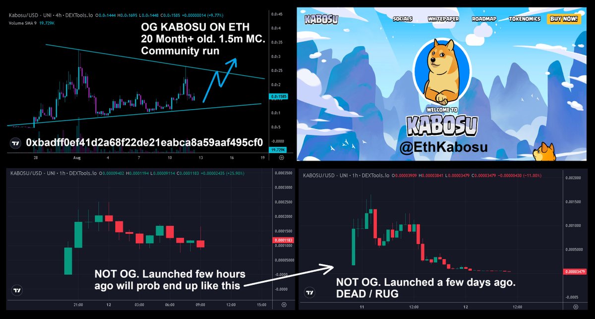There is only one OG $KABOSU on #ETH and that is <a href="/EthKabosu/">Kabosu</a>, 20+ months old and run by community. I'm an admin in the TG group🤝. Copy cats popping up, they pump then rug after few days🤦. Be safe.

CA: 0xBADFf0eF41D2A68F22De21EAbca8A59Aaf495cF0
TG: t.me/KabosuInuEntry
X: