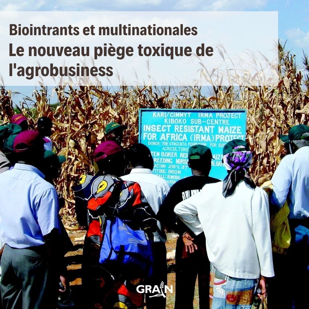 GRAIN_org's tweet photo. Les grandes entreprises de l'agrochimie - telles que #Bayer, #BASF et #Yara - s'intéressent de plus en plus aux #biointrants. Leur objectif ? Produire leurs propres versions brevetées, avec des nouvelles techniques génétiques. https://t.co/C0RlI3mMFa https://t.co/7jubDWpTkL