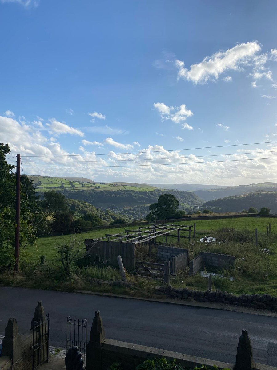 Dead Animals Play @ Edinburgh Fringe tweet media