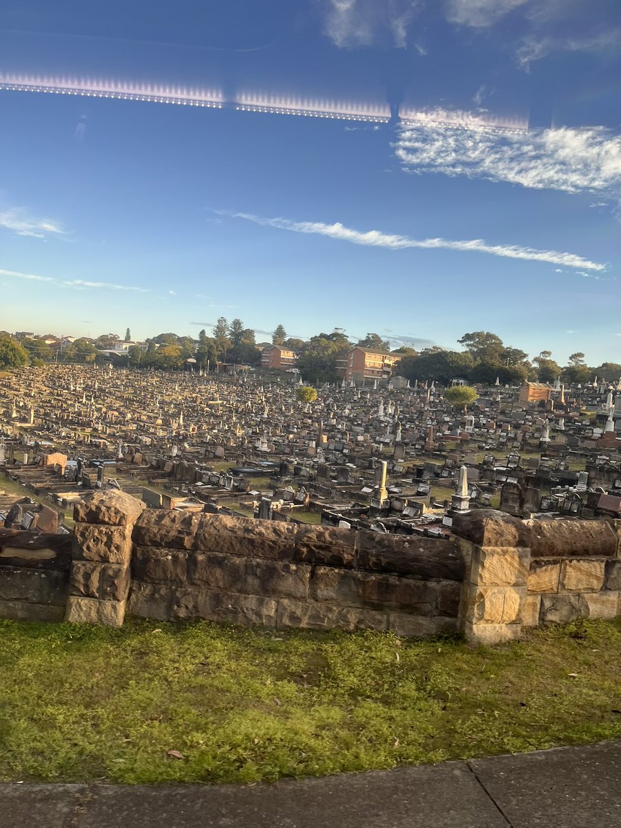ma quanto so freschi i cimiteri