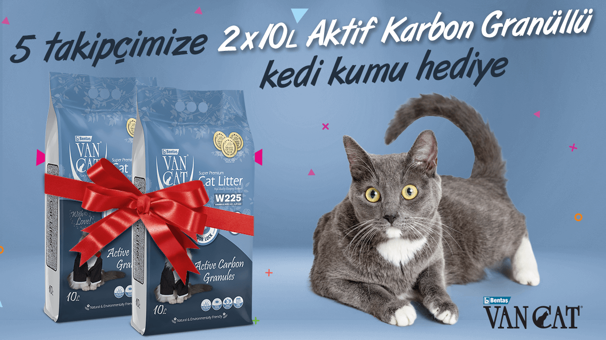 VanCatTurkiye's tweet photo. 🎁 VanCat Ağustos Çekilişi! 🎁

Çekilişimize katılmak için:
🐾 @VanCatTurkiye sayfamızı takip et,
🐾 Bu gönderiyi beğen ve repostla,
🐾 Bir arkadaşını yoruma etiketle!

5 takipçimize 2x10 L VanCat Aktif Karbon Granüllü #KediKumu #Hediye! 😻

🛎 Çekiliş sonuçları 21 Ağustos! https://t.co/E5cUjnPMYh