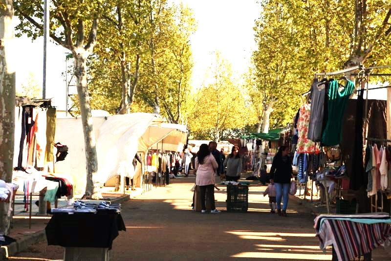 EL JUEVES HABRÁ MERCADILLO

+info: ayuntamientomontijo.org
