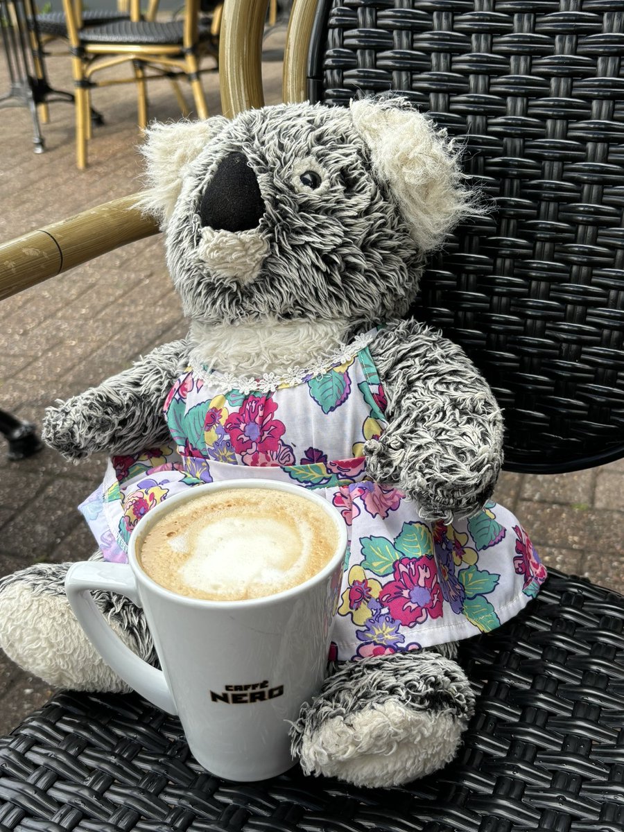 Kenny koala tweet media