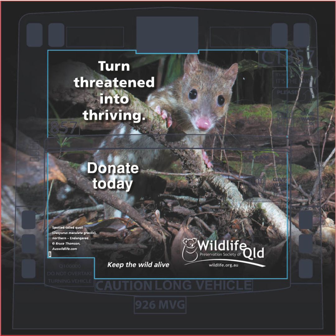@Wildlifeqld tweet media