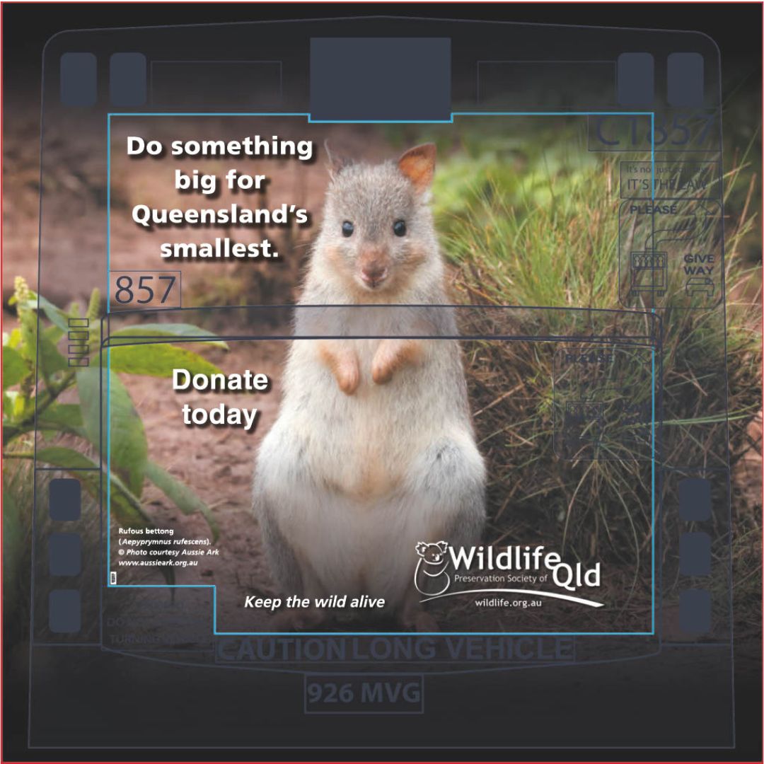 @Wildlifeqld tweet media