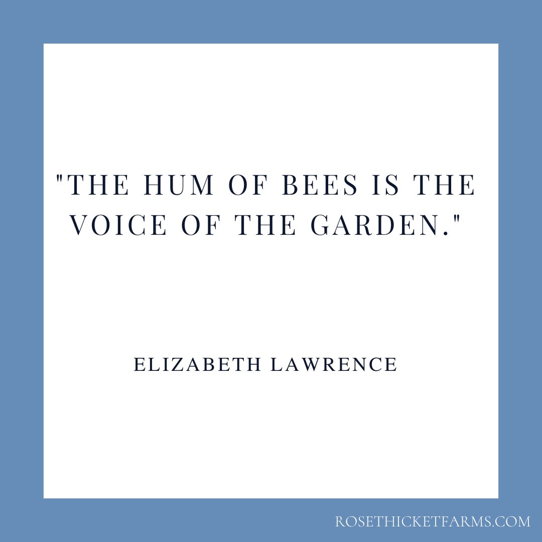 Rose Thicket Farms tweet media