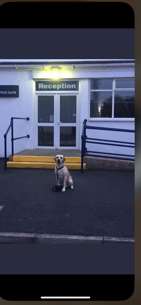 wuftyruffruff's tweet image. Interview in 10 mins. Wish me luck folks 🙏🏻