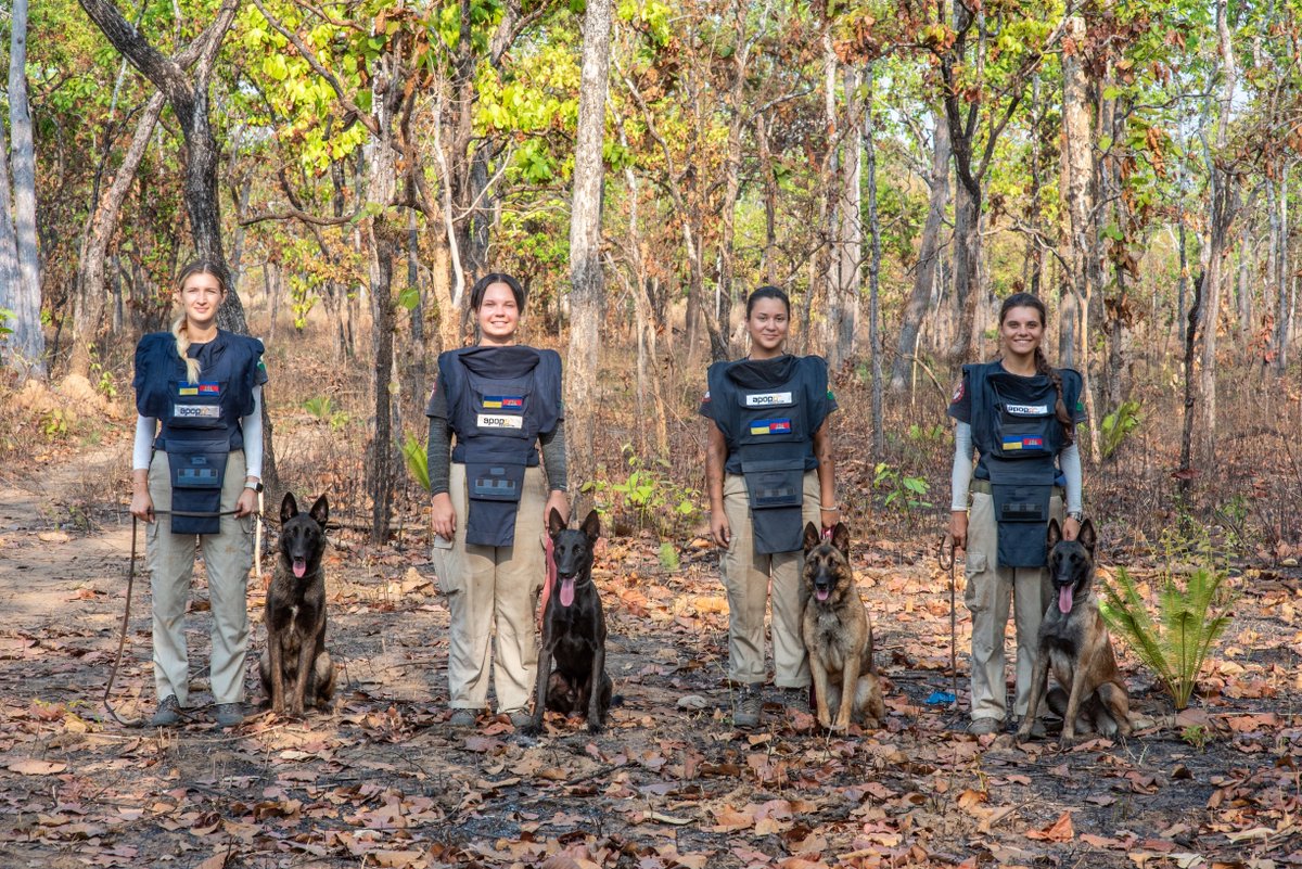 MAGsaveslives's tweet photo. This month, for the first time in Ukraine, specially trained dogs and their handlers, who are all Ukrainian women, will begin clearing minefields.
 
The project is funded by the @EU_Commission &amp; delivered in partnership with @herorats &amp; MAG.
 
Read more ➡️ https://t.co/2Gkfc9a3aq https://t.co/jHKYZLTTgB