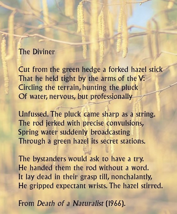 In this poem from Death of a Naturalist, Seamus Heaney describes how the dowser locates underground water with the use of a forked hazel branch. Heaney talks about how these folk methods seem miraculous and magical, a theme he continuously explores in his work.