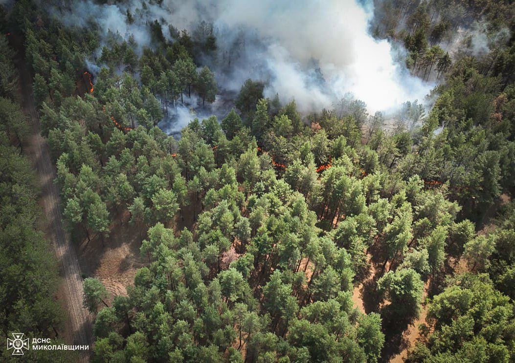 Local residents and employees of the forest farm are helping to put out the fire: the Andriiivsky forest is on fire in the Mykolaiv Oblast

🔗 nikvesti.com/ua/news/incide…