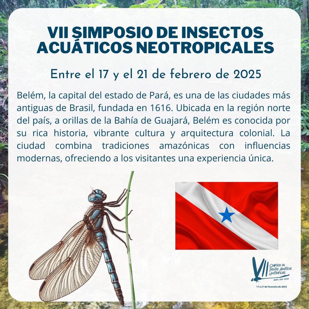 ¡Participe del VII Simpósio de Insectos Acuáticos Neotropicales en Belém, Pará (Brasil), del 17 al 21 de febrero del 2025!
🔗 Regístrate ahora: labecoufpa.com.br/viisian
📅Valores promocionales hasta el 30/09: Pregrado: R$50,00
Posgrado: R$150,00
Profesional: R$250,00