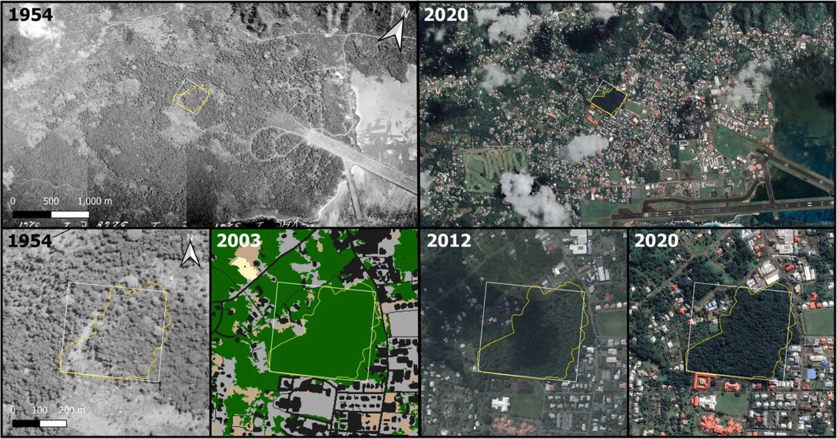 Tropical forest fragments may have critical conservation value. Decisions to invest in their conservation should leverage criteria-based frameworks. See our recent paper in Global Ecology and Conservation:
doi.org/10.1016/j.gecc…