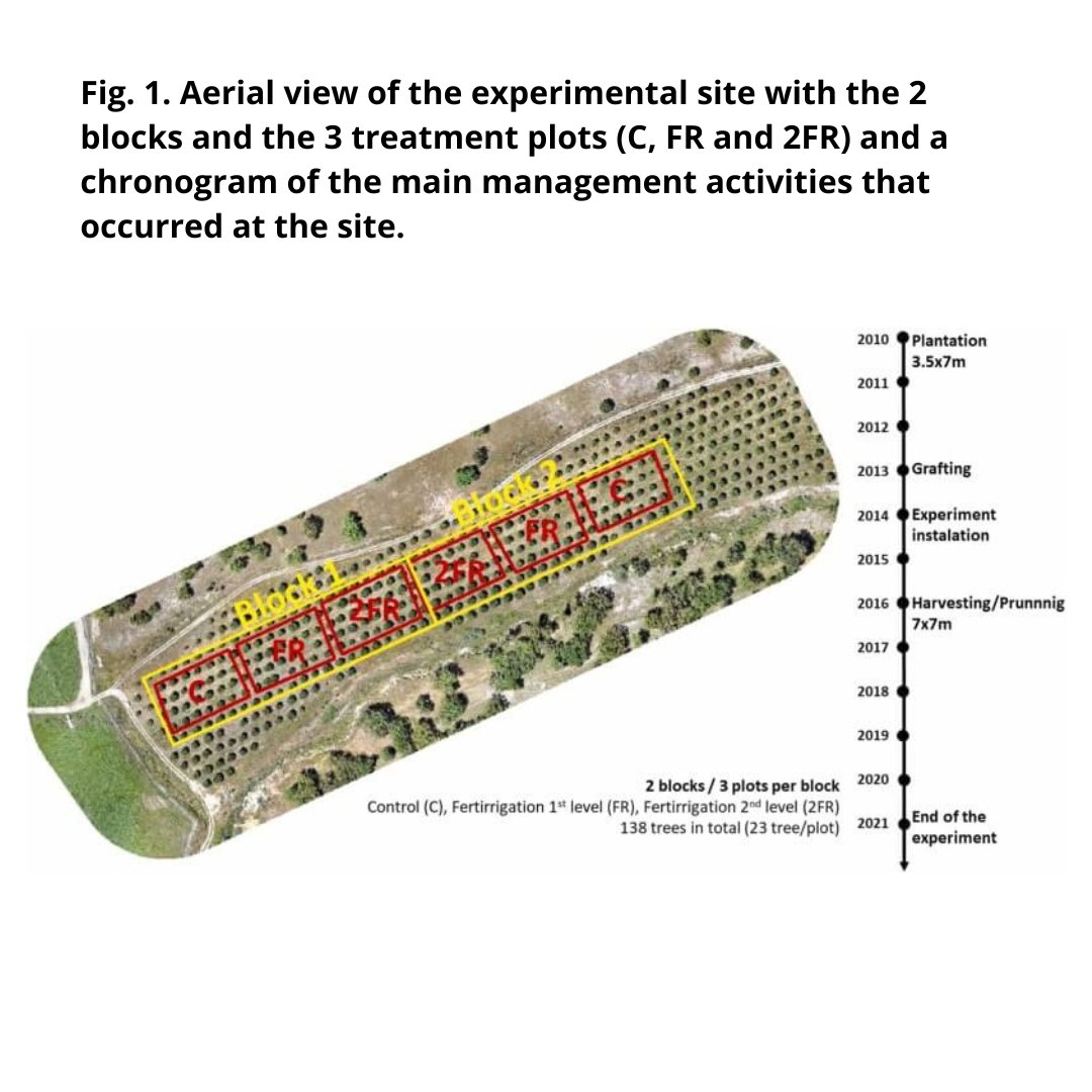 CEF - Centro de Estudos Florestais tweet media