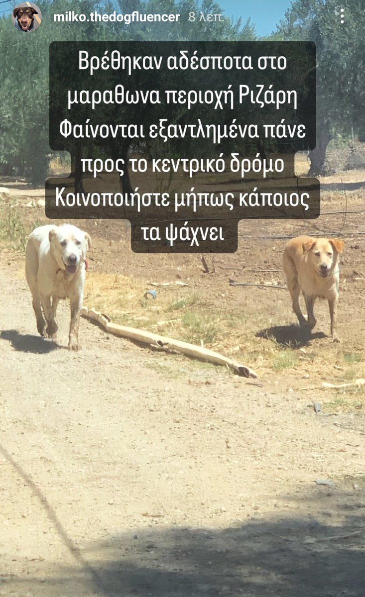 Chrisafina tweet media