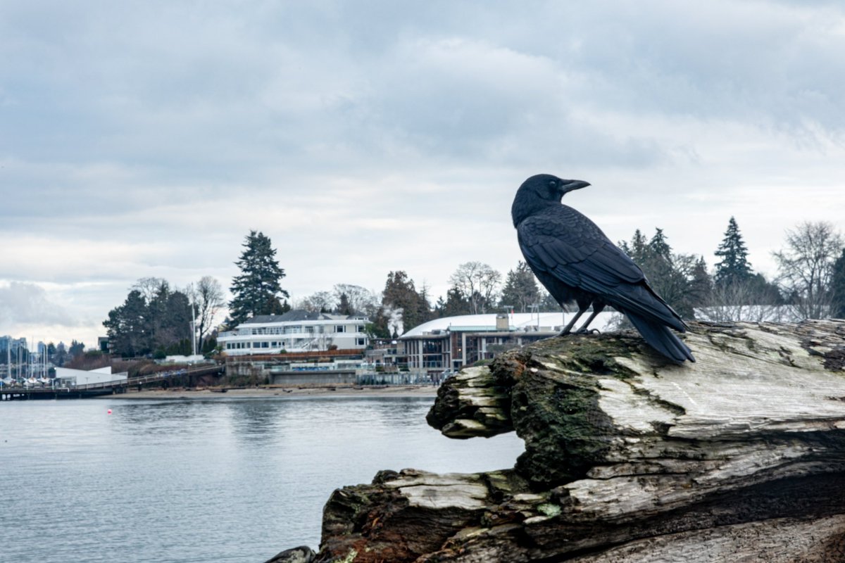 Getting excited about my trip back to Vancouver. I’ve not been back home in the summer for nearly 7 years. It’ll be nice to add some summery vibes to a very wintery Vancouver collection