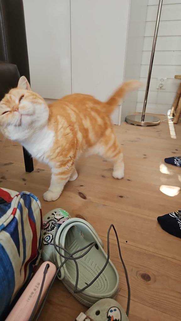 And that's a wrap! Good bye Scandinavia! You've been amazing!  (Also <a href="/The_AGGman/">AGGman</a> when are we moving to Norway?)