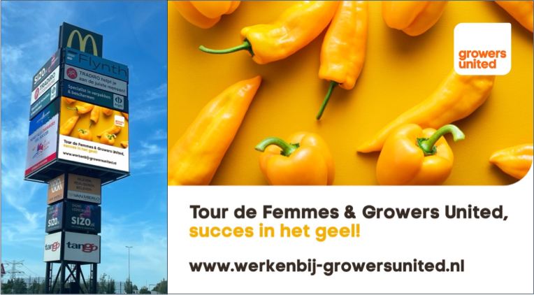 Yellow, not just a color... 💛💛 The #taste of #succes ...💛💛 #TourdeFemme <a href="/westland/">westland</a>  #GrowersUnited