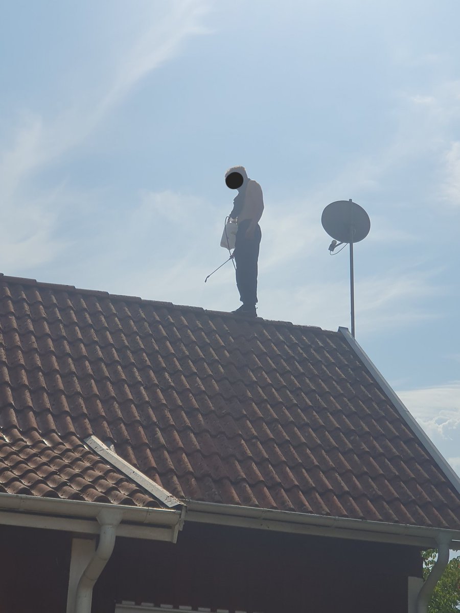 Diddeboy tweet media