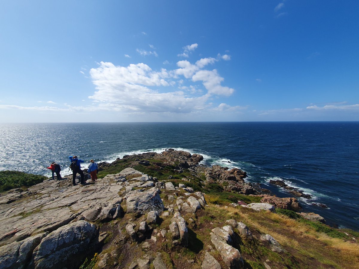 Diddeboy tweet media