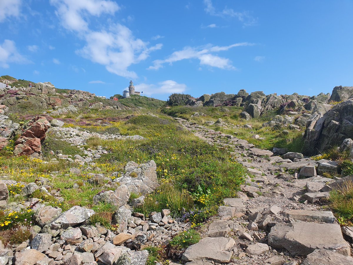 Diddeboy tweet media