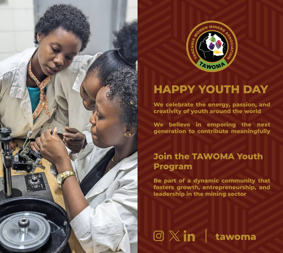 Tanzania Women Miners Association tweet media