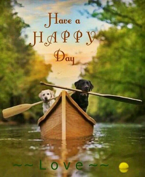 JanetNestor's tweet image. Have a #HAPPY day my friends. #ThinkPositiveThoughts and make positive decisions. Smiles and kindness are contagious. Spread that positive energy throughout you day.