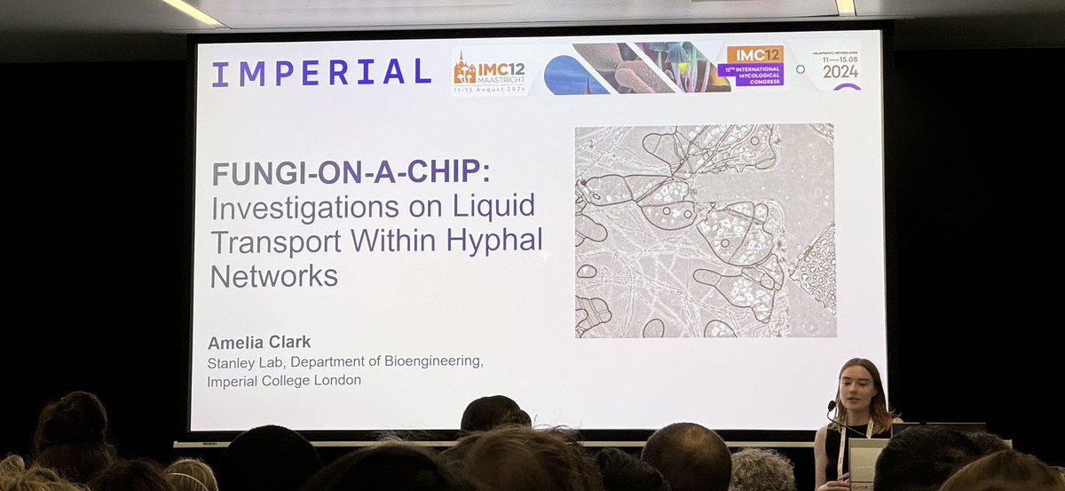 Stanley Lab tweet media