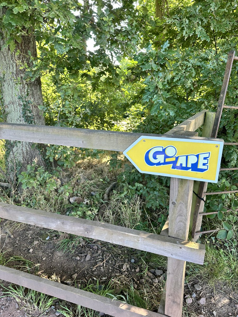 HeatherMunro8's tweet image. Our summer ta-da list is coming to its end 😢 and what a time we’ve had out and about in and around #glasgowsummer this one was definitely a highlight above the tree tops 🙂#20goape #makingmemories 🏴󠁧󠁢󠁳󠁣󠁴󠁿