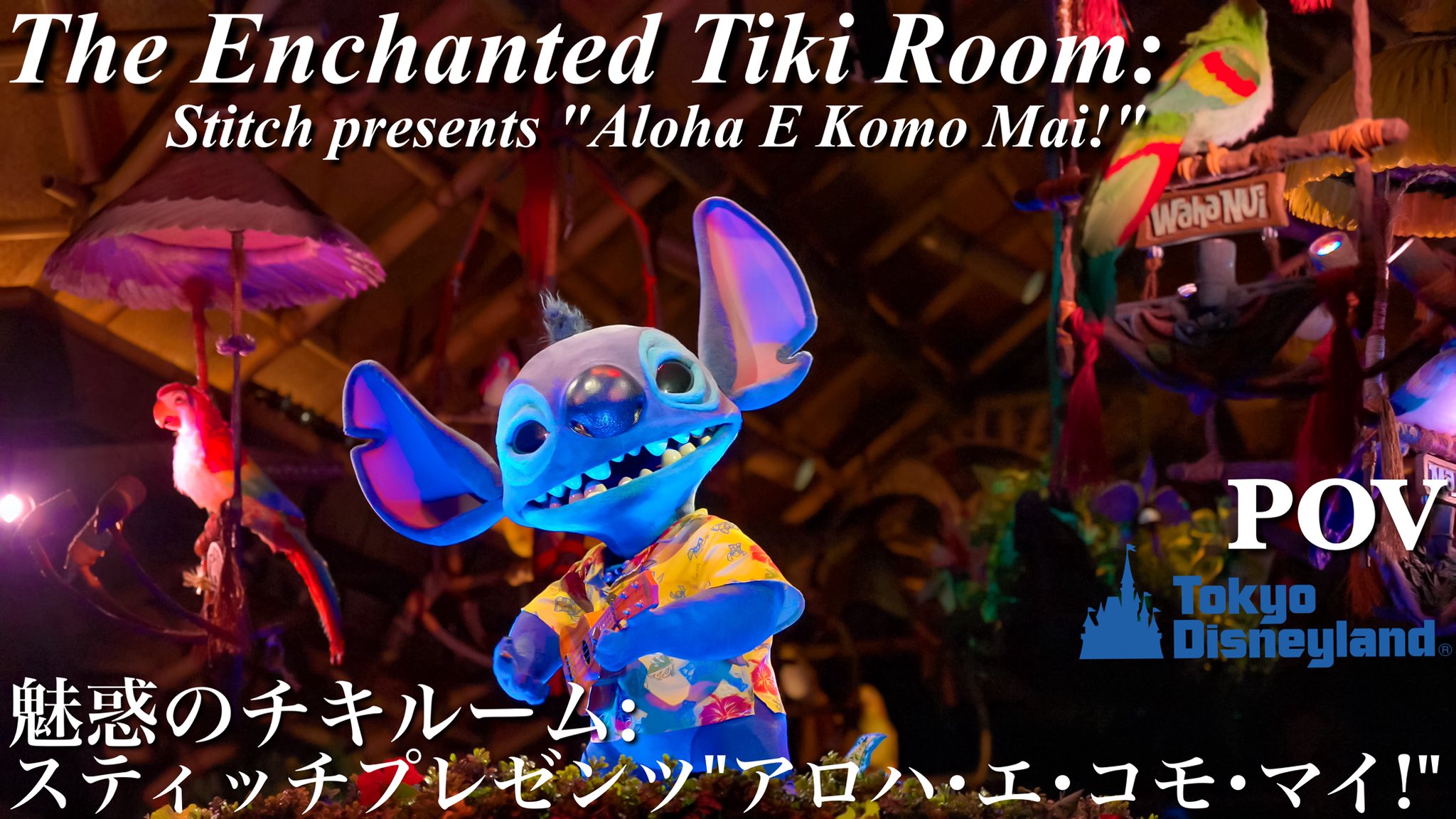 Amazon | [アディダス] ピノキオ スタンスミス PINOCCHIO STAN