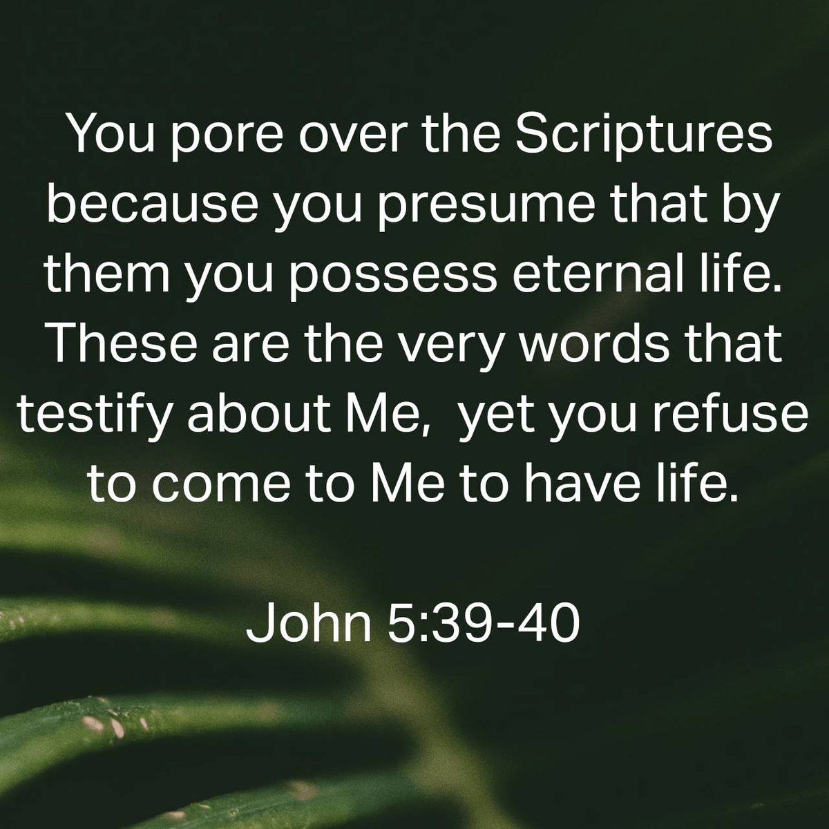 Do you study the Bible to know about #Jesus or do you study it to know Jesus?
 In Him is LIFE. 

bible.com/bible/3034/jhn…