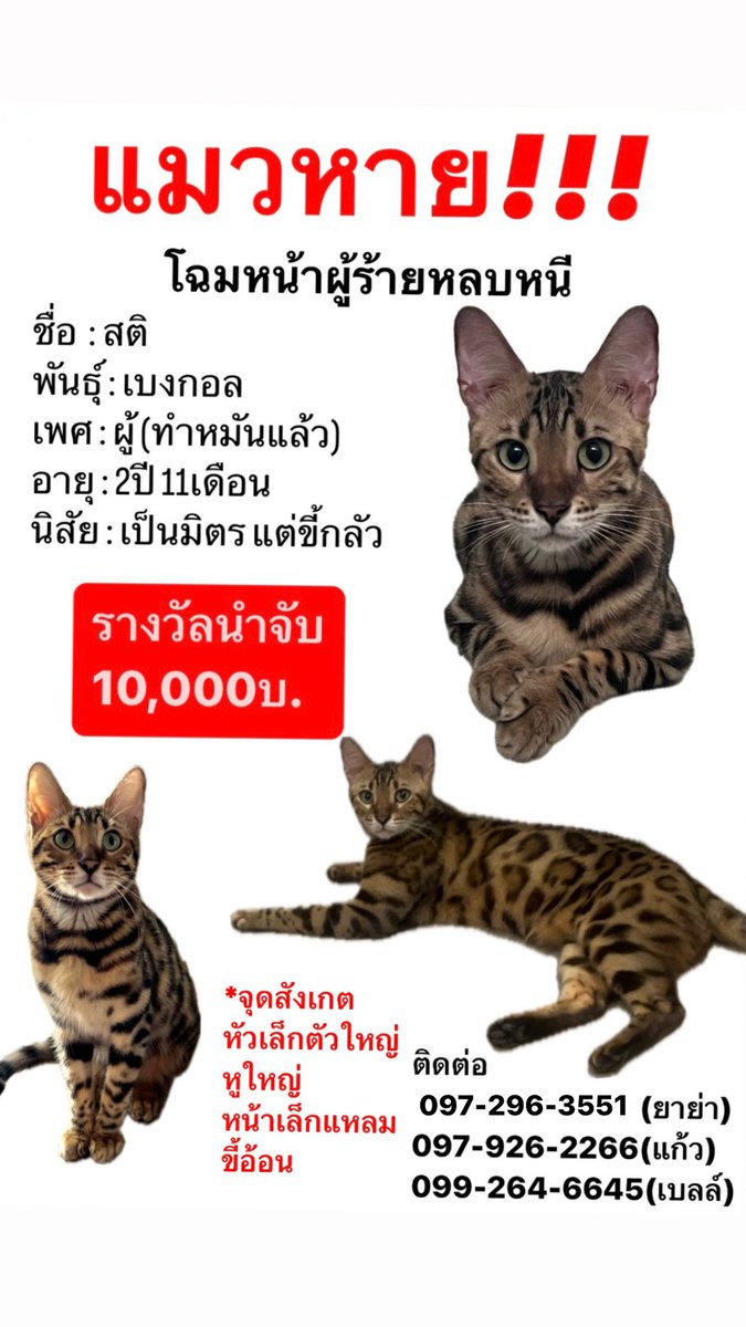 📍 มบ.สิริวลัย เลียบคลอง1 รังสิต-นครนายก
ไม่มีปลอกคอ