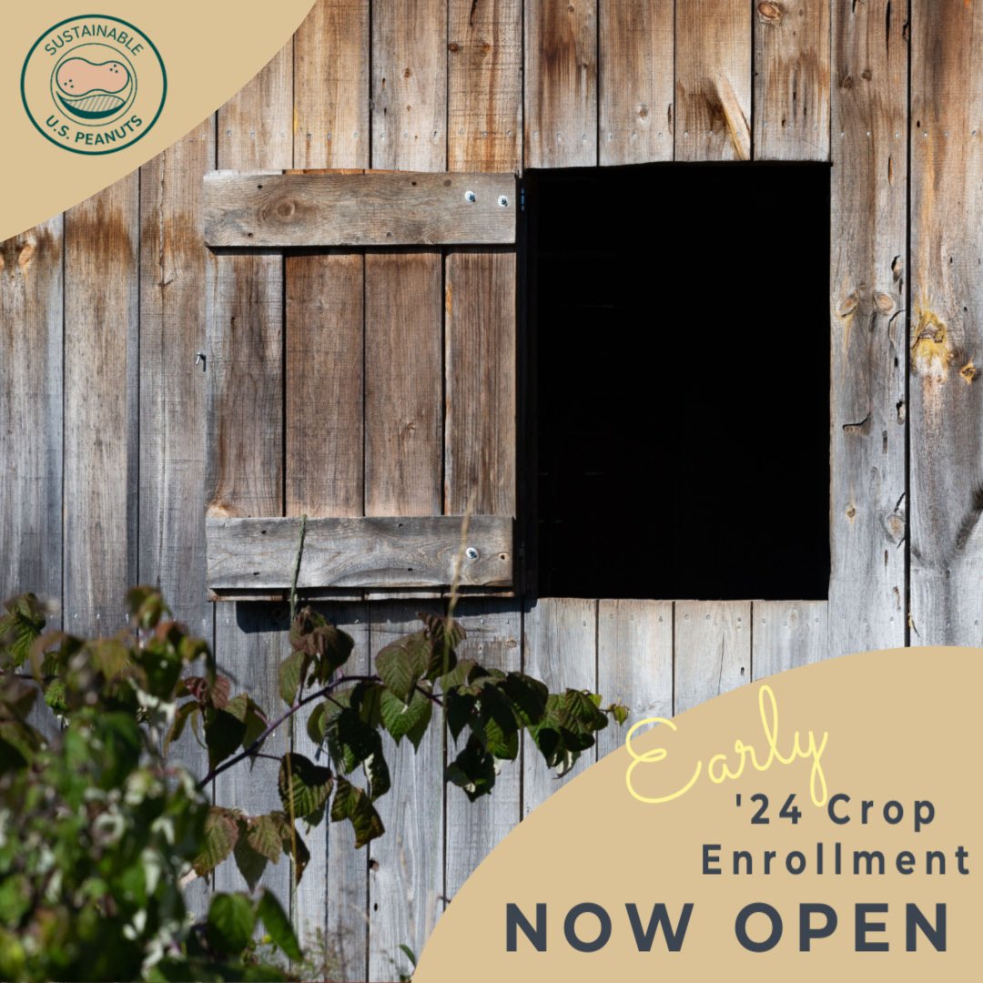The early bird gets the worm. That’s why we’ve opened enrollment early for the #Sustainable U.S. #Peanuts Initiative’s ‘24 crop. Before harvest is in full swing, growers can visit sustainableuspeanuts.org to enroll in the initiative/update their information from prior enrollment.