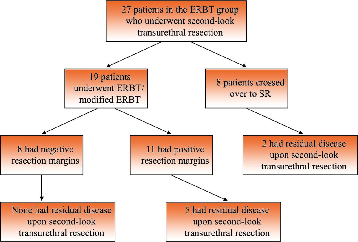 European Urology (@euplatinum) on Twitter photo Transurethral En Bloc Resection Versus Standard Resection of Bladder Tumour: A Randomised, Multicentre, Phase 3 Trial by <a href="/jteoh_hk/">Jeremy Teoh</a> et al
Read the full article here: buff.ly/46yD7uw
#UroSoMe #MedTwitter #BladderTumour Transurethral En Bloc Resection Versus Standard Resection of Bladder Tumour: A Randomised, Multicentre, Phase 3 Trial by <a href="/jteoh_hk/">Jeremy Teoh</a> et al
Read the full article here: buff.ly/46yD7uw
#UroSoMe #MedTwitter #BladderTumour