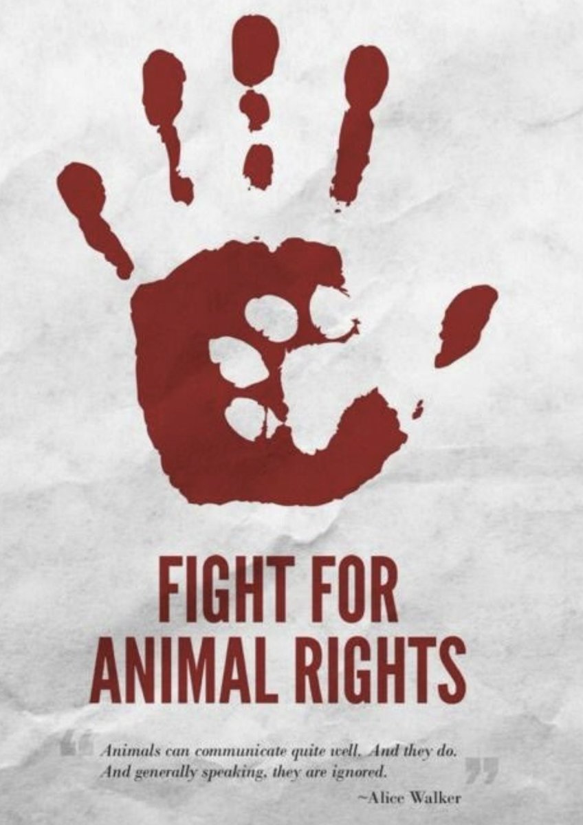 <a href="/domdyer70/">dominic dyer</a> <a href="/RTErdogan/">Recep Tayyip Erdoğan</a> <a href="/animalsavemvmt/">Animal Save Movement</a> <a href="/MeldaKelemcisoy/">Melda Ece-Kelemcisoy</a> <a href="/InsaneHuseyin/">Insane Huseyin</a> Just imagining the dog’s final thought, “What did I do to deserve this?”

Only subhumans resort to such cruelty. The world must continue boycotting Turkey until the inhumane bill is repealed

Avoid their tourism, products &amp; services

Hit them where it hurts most - their economy