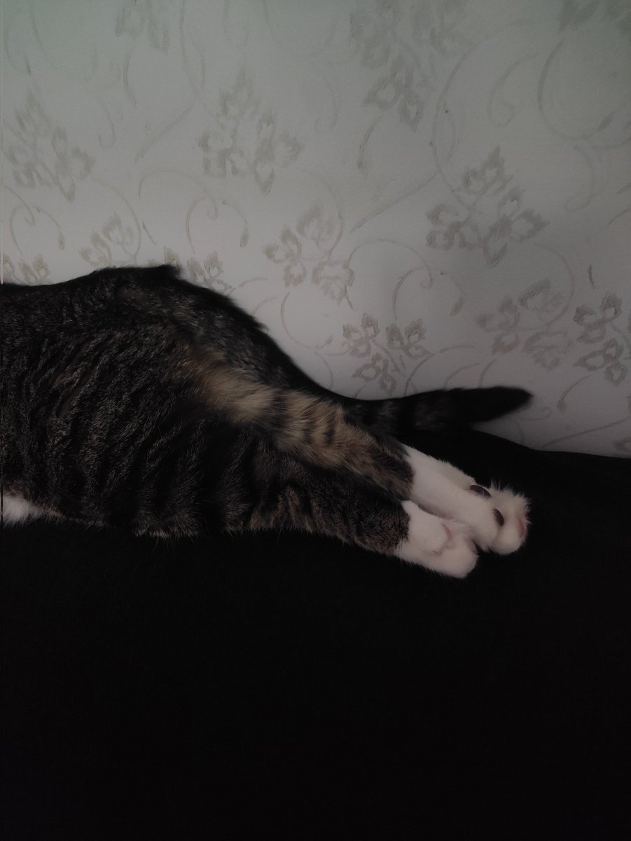 Tosbik (@tosbikkedisi) on Twitter photo 