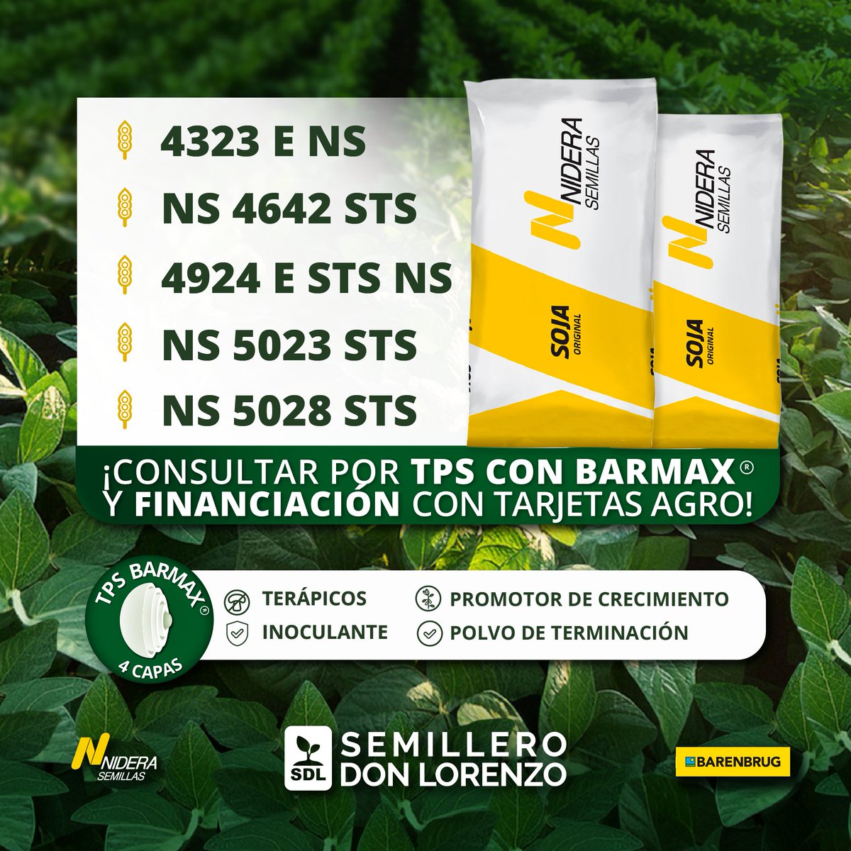 SemilleroSDL's tweet photo. 🌱 ¡CAMPAÑA 24-25: variedades de soja @NideraSemillas !  

¿Querés asegurar el mejor comienzo para tu soja?📲 Consultanos sobre nuestro tratamiento profesional @barenbrug  para semillas, y llevá tu producción al siguiente nivel.💪 https://t.co/iGmJ6ynAeA