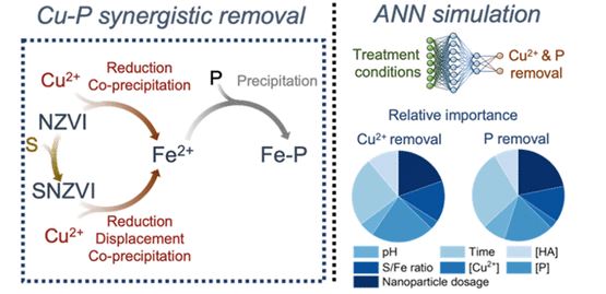 Environmental Science & Technology Journals (@envscitech) on Twitter photo Nanoscale zerovalent iron synergistically removes copper and phosphate from water due to intertwined redox and precipitation reactions involving Fe2+ ions. Sulfidation further enhances the reactions. Read the full story in ACS ES&T Water: go.acs.org/arB
<a href="/a_s_adeleye/">Adeyemi Adeleye</a> Nanoscale zerovalent iron synergistically removes copper and phosphate from water due to intertwined redox and precipitation reactions involving Fe2+ ions. Sulfidation further enhances the reactions. Read the full story in ACS ES&T Water: go.acs.org/arB
<a href="/a_s_adeleye/">Adeyemi Adeleye</a>