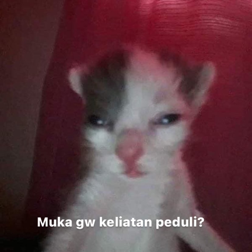 GOOD ENOUGH (@goodaintnough) on Twitter photo 