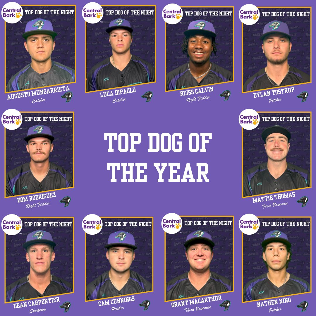 Rochester Honkers (@rochhonkers) on Twitter photo It's time to vote for TOP DOG OF THE YEAR presented by <a href="/CentralBarkRCH/">Central Bark Rochester</a> !
Comment on this post for your vote! This week we will start with 10 of our Top Dogs of the year. Next Monday we will narrow it down to the top 4, then 2, after that our Top Dog will be announced! It's time to vote for TOP DOG OF THE YEAR presented by <a href="/CentralBarkRCH/">Central Bark Rochester</a> !
Comment on this post for your vote! This week we will start with 10 of our Top Dogs of the year. Next Monday we will narrow it down to the top 4, then 2, after that our Top Dog will be announced!