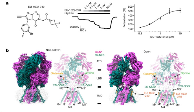 Emory Pharmacology & Chemical Biology (@pharmchembio) on Twitter photo Congratulations to Drs. <a href="/SteveTraynelis/">Steve Traynelis</a>, Dennis Liotta <a href="/LiottaLab/">Liotta Research Group</a>, and all the authors for their new @nature paper: "Molecular mechanism of ligand gating and opening of NMDA receptor"! nature.com/articles/s4158… Congratulations to Drs. <a href="/SteveTraynelis/">Steve Traynelis</a>, Dennis Liotta <a href="/LiottaLab/">Liotta Research Group</a>, and all the authors for their new @nature paper: "Molecular mechanism of ligand gating and opening of NMDA receptor"! nature.com/articles/s4158…