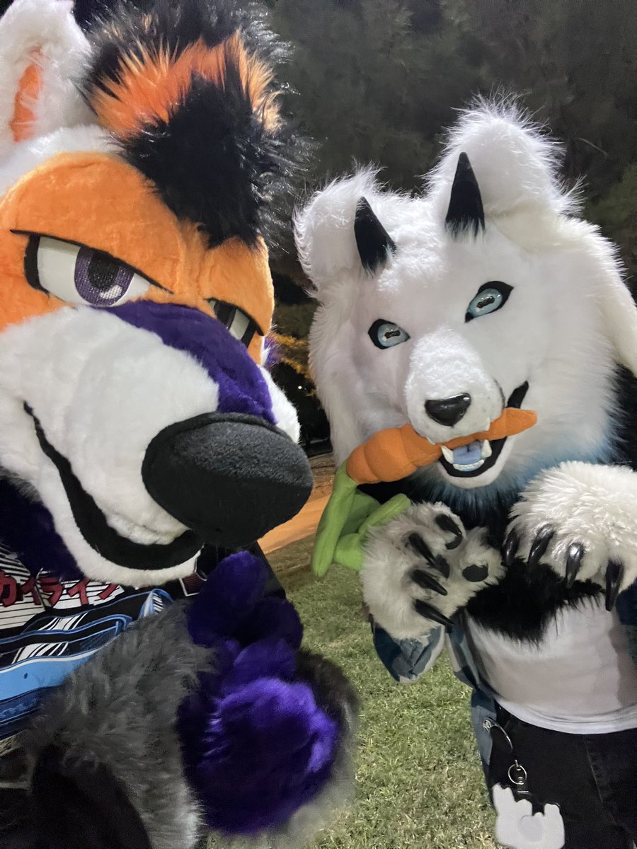 Look who dragged me to my VERY FIRST public fur meet!! Thanks for taking me here to Desert Breeze :3

🦊 🐐: <a href="/AxenFoxGoat/">Axen</a>