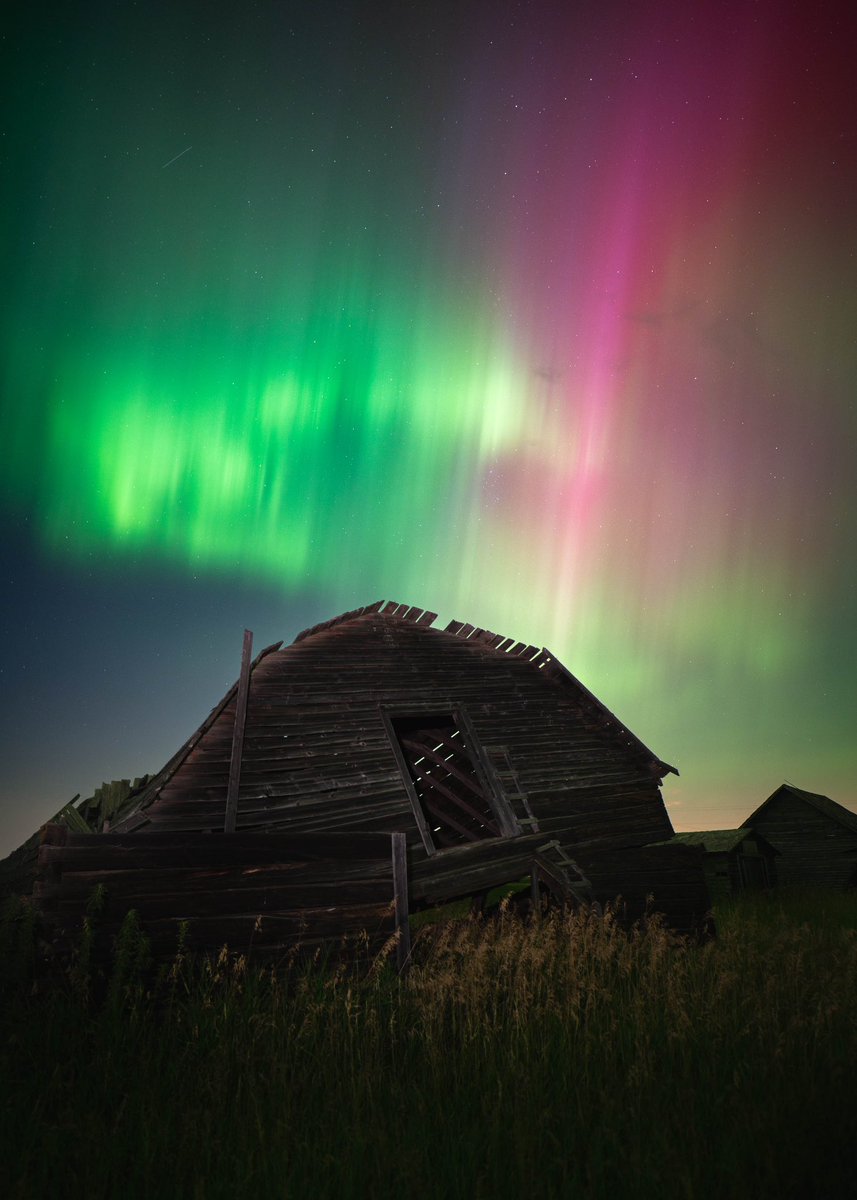 ShaneTurgeon's tweet image. Last night was okay. If you’re into that kind thing. 😉 #aurora